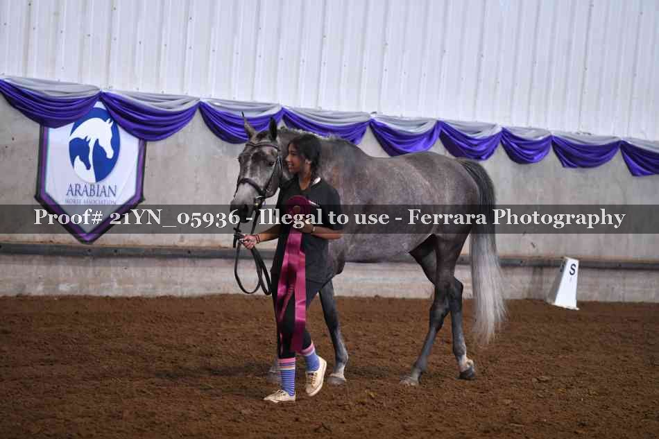 Proof Number 21YN_05936
