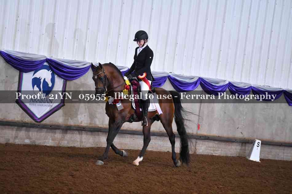 Proof Number 21YN_05955