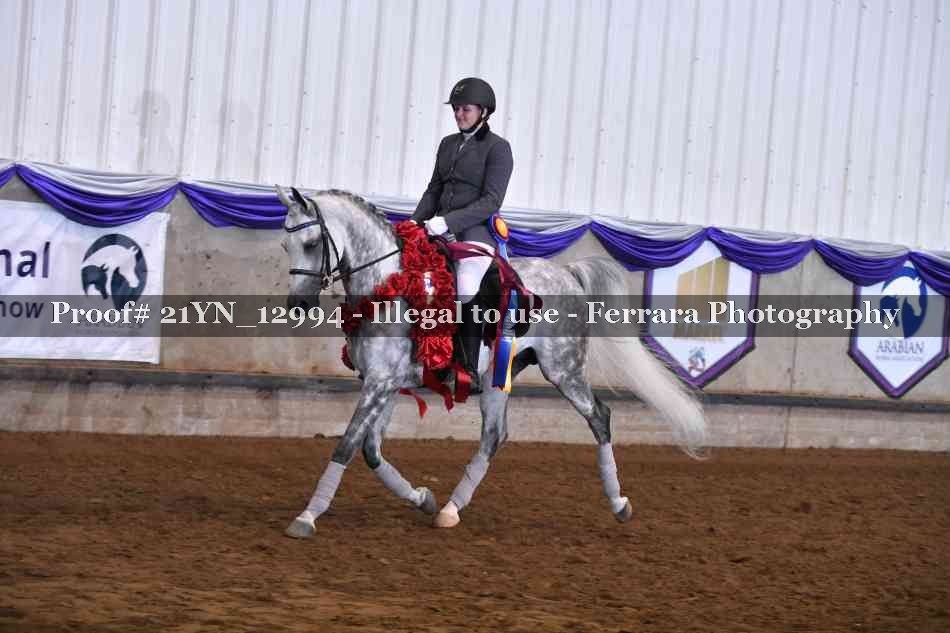 Proof Number 21YN_12994