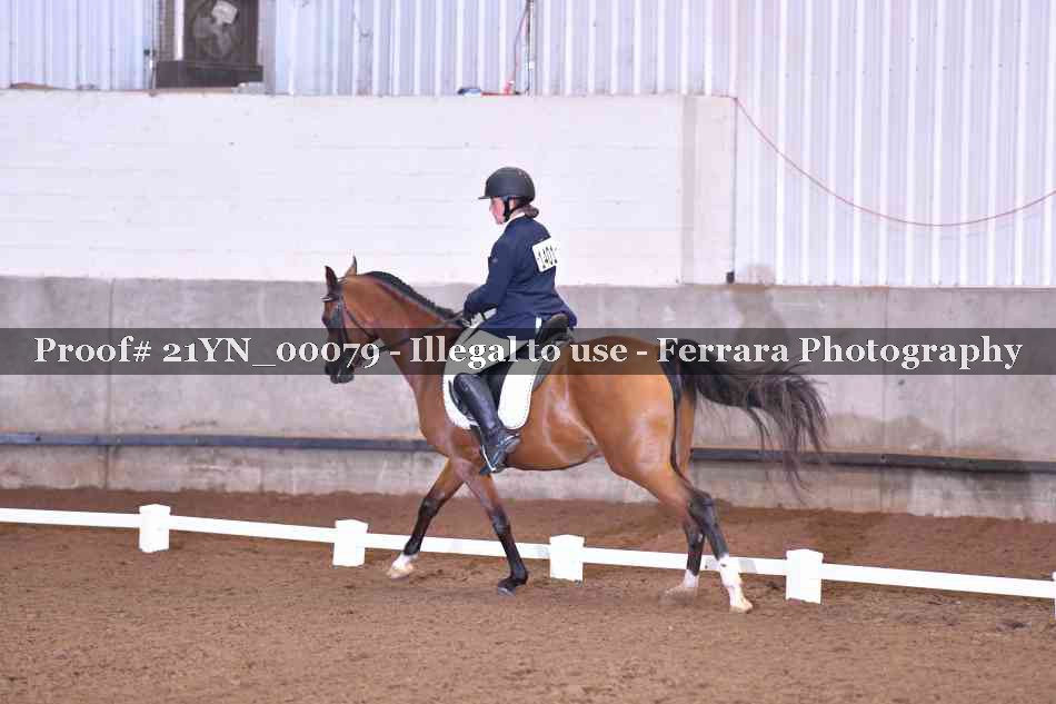 Proof Number 21YN_00079