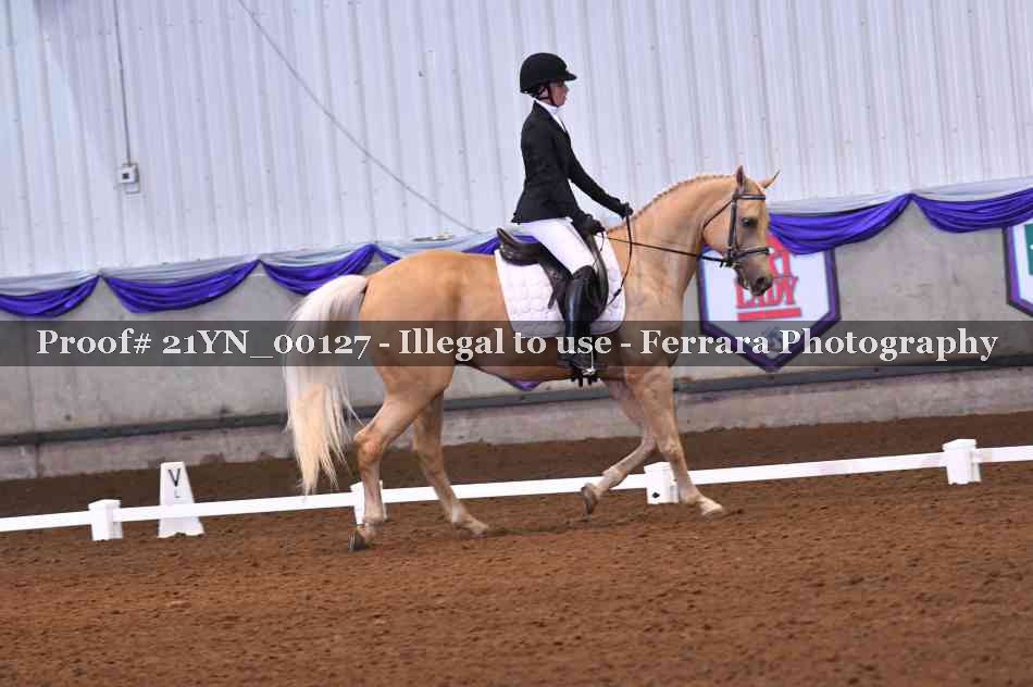 Proof Number 21YN_00127