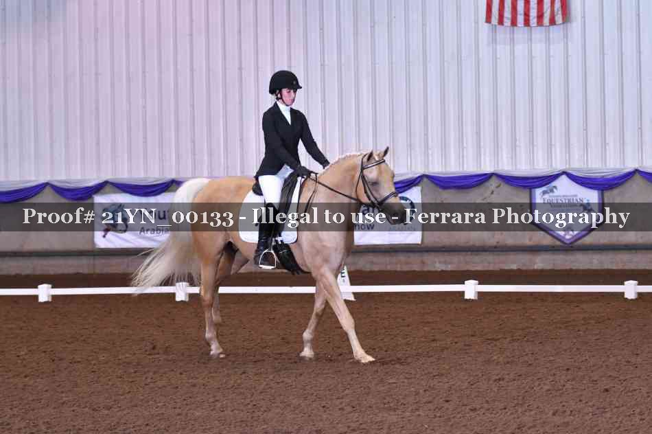 Proof Number 21YN_00133