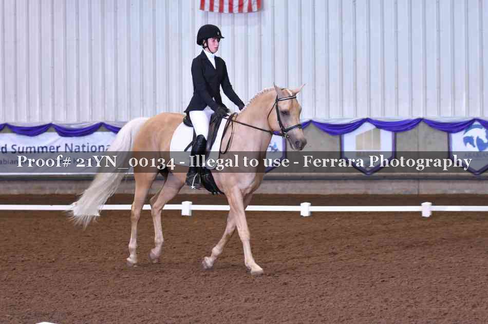 Proof Number 21YN_00134