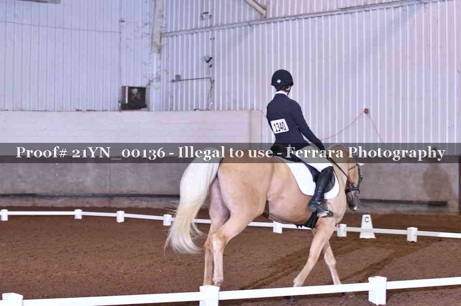 Proof Number 21YN_00136