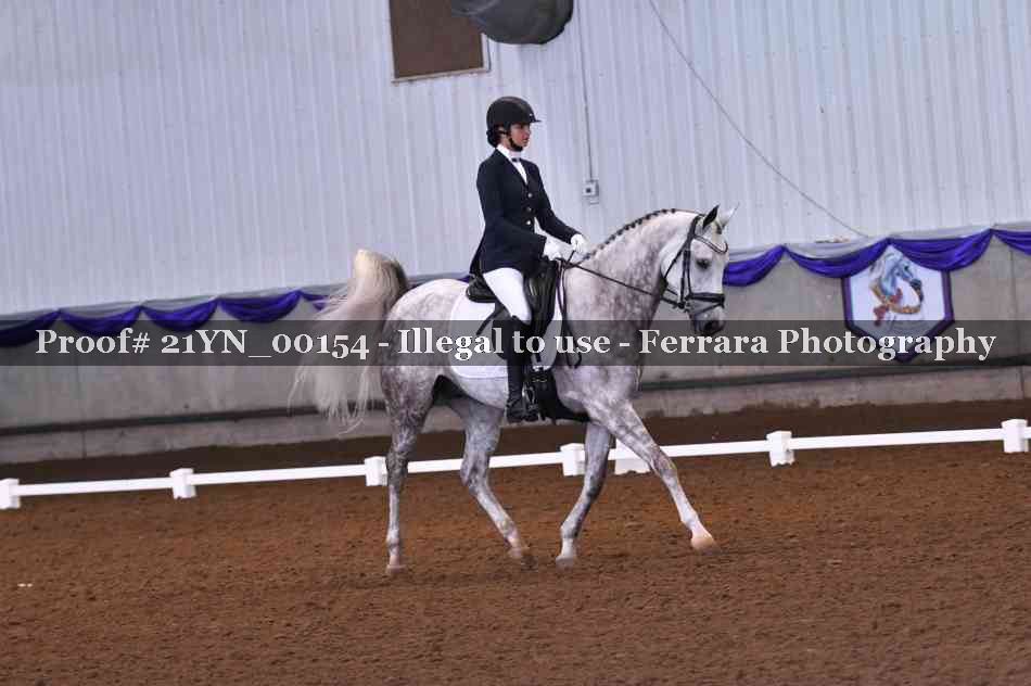 Proof Number 21YN_00154
