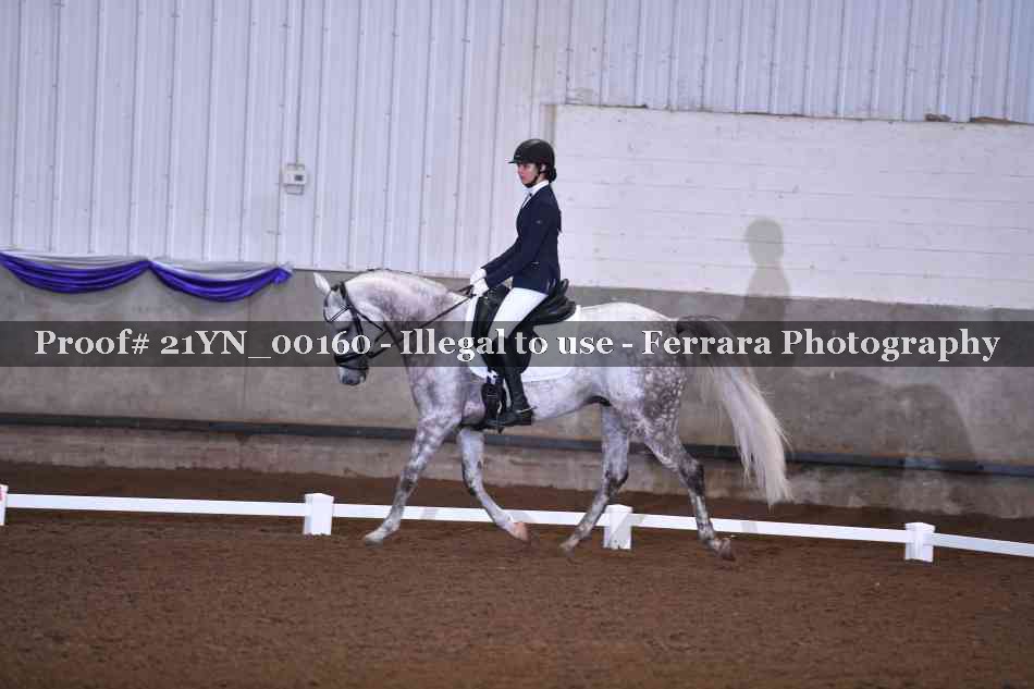 Proof Number 21YN_00160