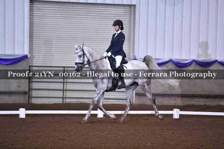 Proof Number 21YN_00162