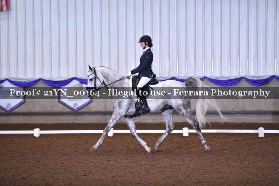 Proof Number 21YN_00164