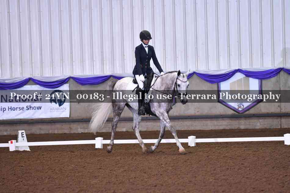Proof Number 21YN_00183