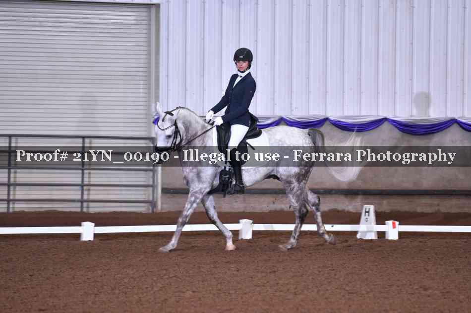 Proof Number 21YN_00190