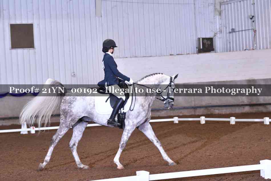 Proof Number 21YN_00192