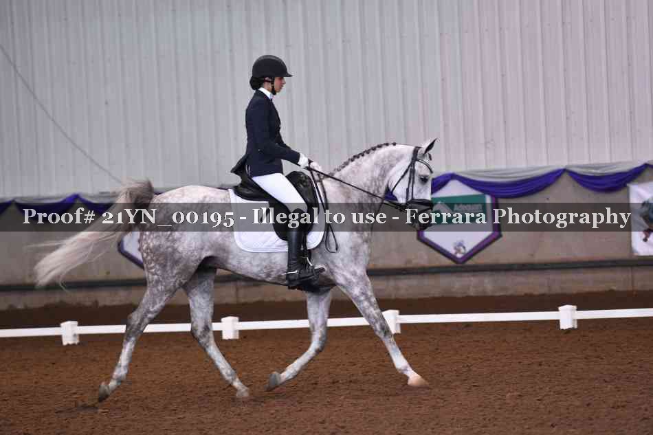 Proof Number 21YN_00195