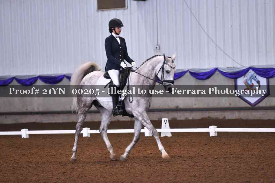Proof Number 21YN_00205