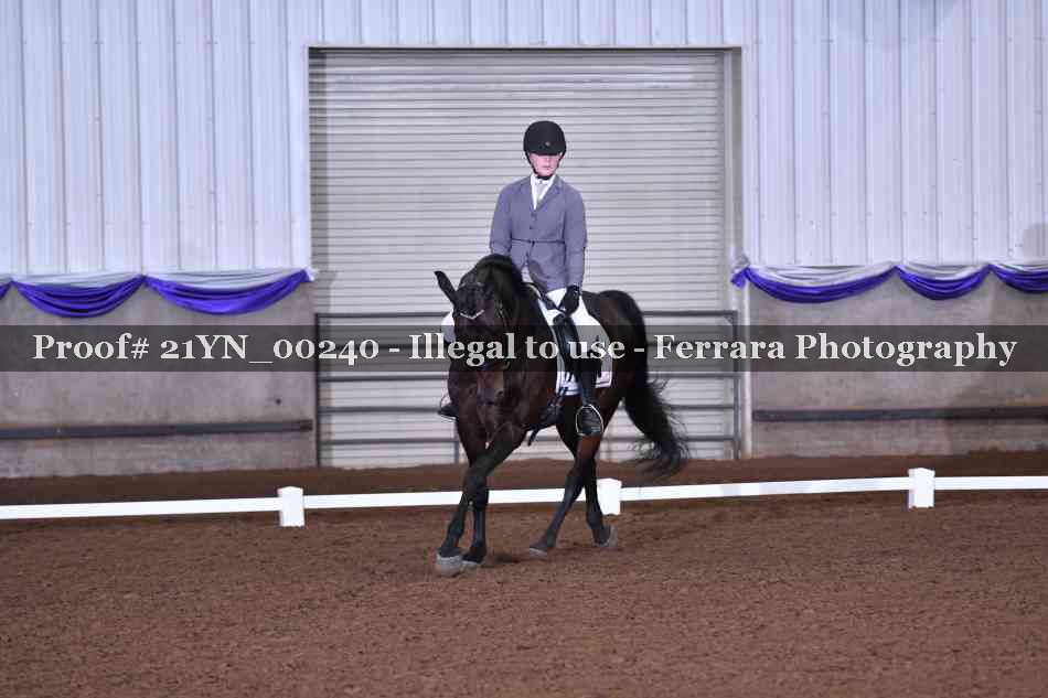 Proof Number 21YN_00240