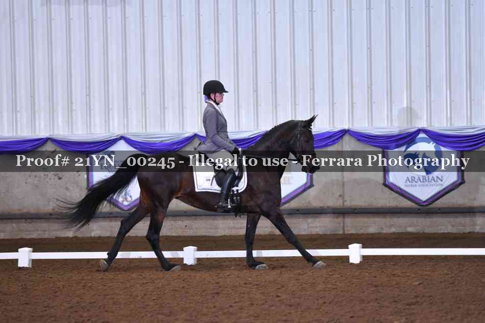 Proof Number 21YN_00245