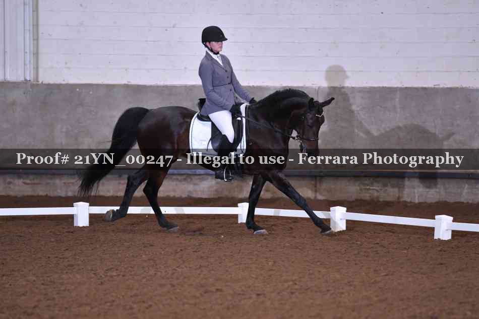 Proof Number 21YN_00247