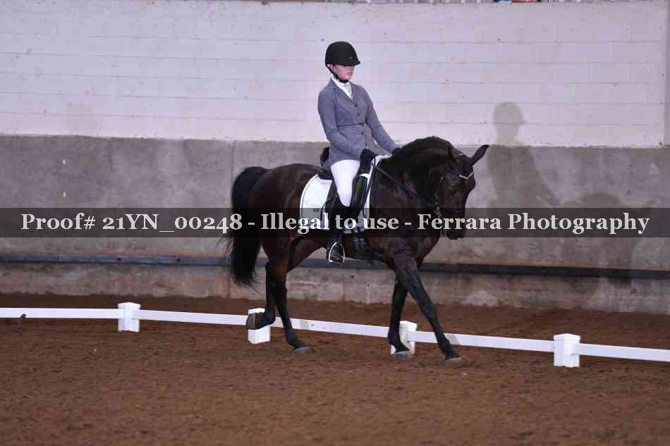 Proof Number 21YN_00248