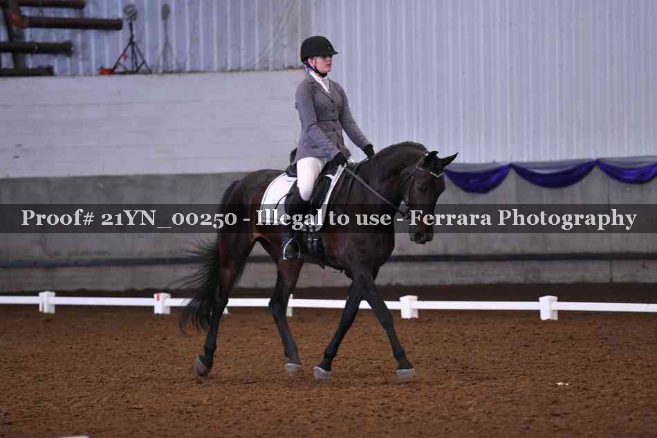 Proof Number 21YN_00250