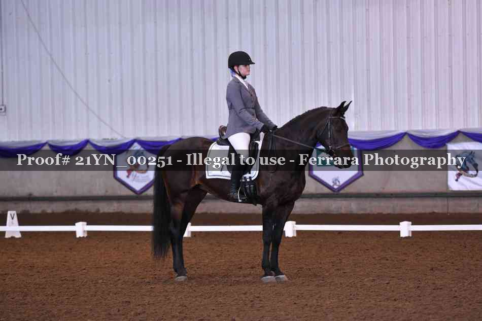 Proof Number 21YN_00251
