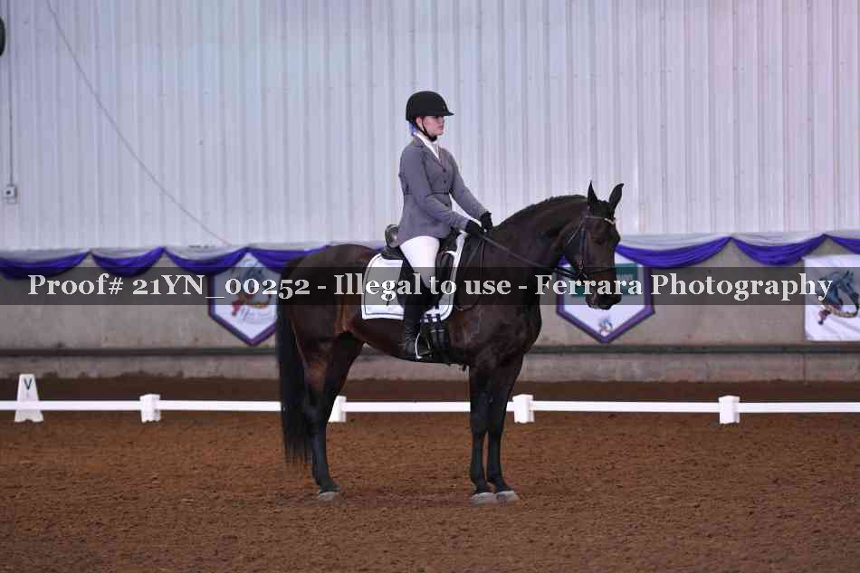 Proof Number 21YN_00252