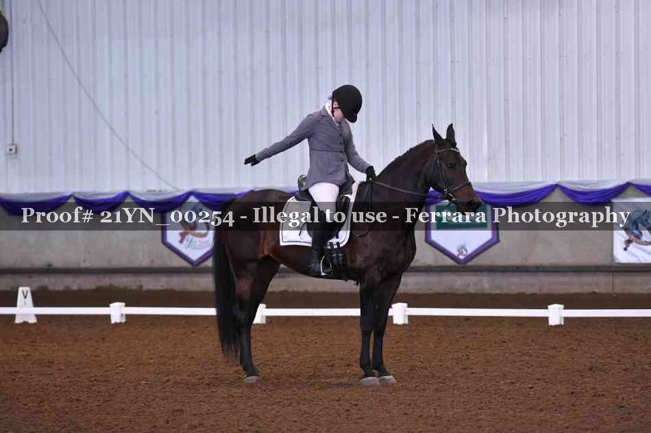 Proof Number 21YN_00254
