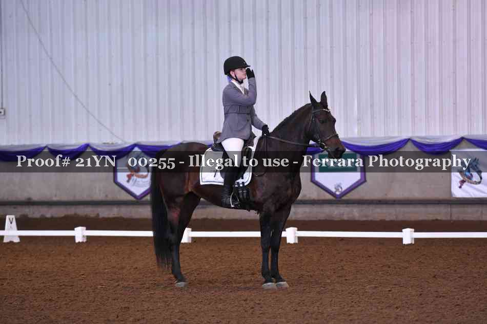 Proof Number 21YN_00255