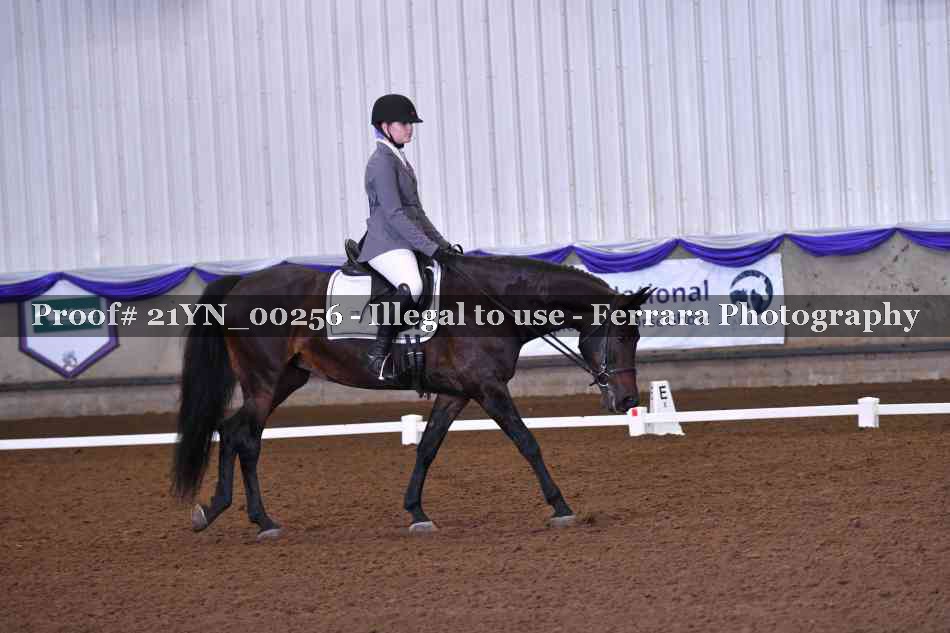Proof Number 21YN_00256