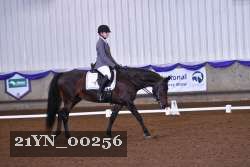 21YN_00256 thumbnail