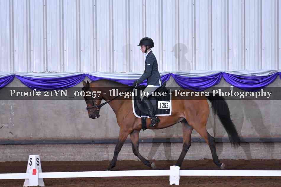 Proof Number 21YN_00257