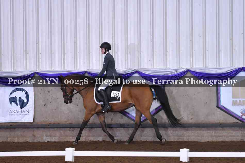Proof Number 21YN_00258