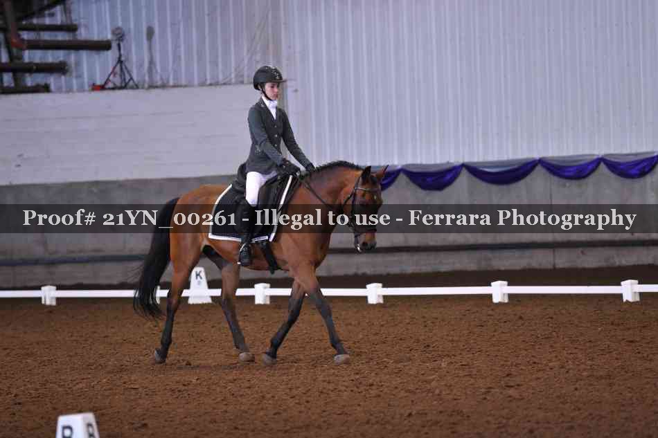 Proof Number 21YN_00261