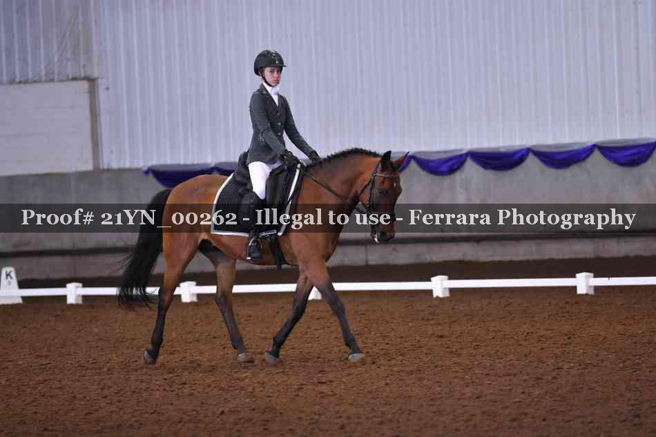 Proof Number 21YN_00262