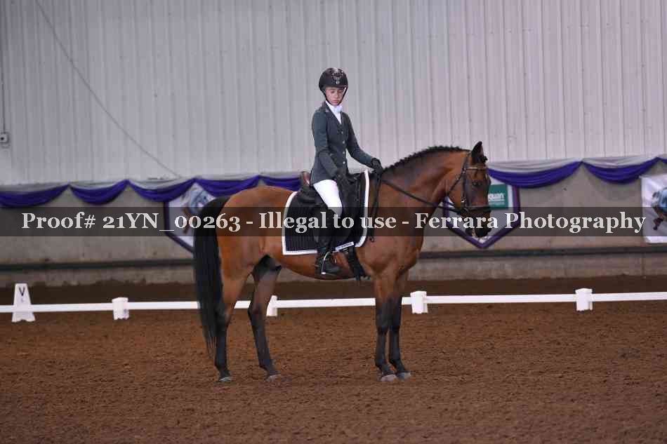 Proof Number 21YN_00263