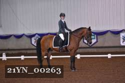 21YN_00263 thumbnail