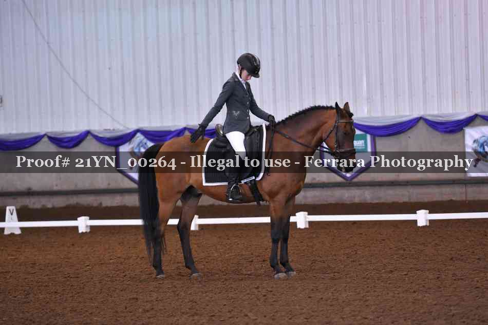 Proof Number 21YN_00264