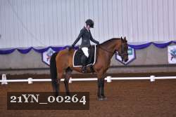 21YN_00264 thumbnail