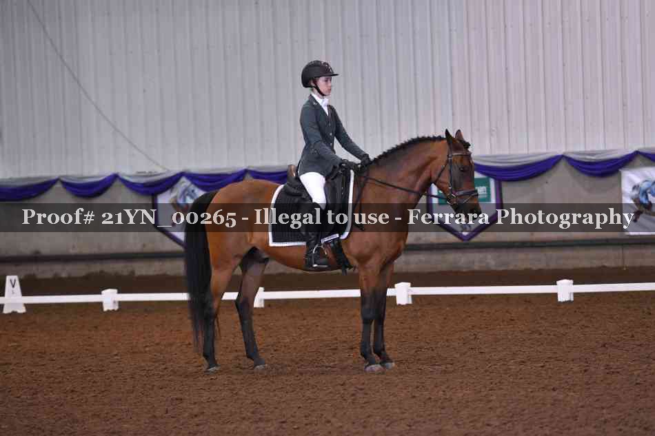 Proof Number 21YN_00265