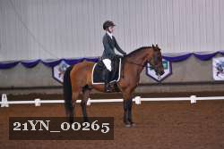 21YN_00265 thumbnail