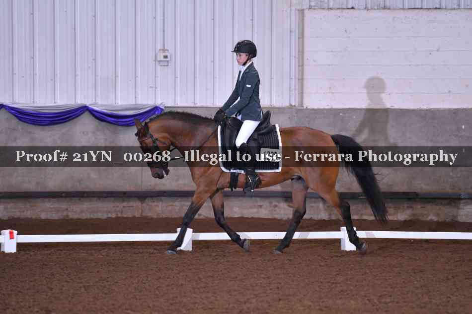 Proof Number 21YN_00268