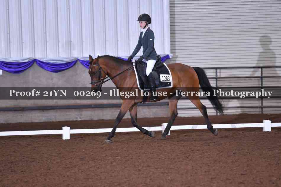 Proof Number 21YN_00269