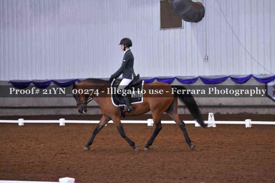 Proof Number 21YN_00274