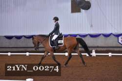 21YN_00274 thumbnail