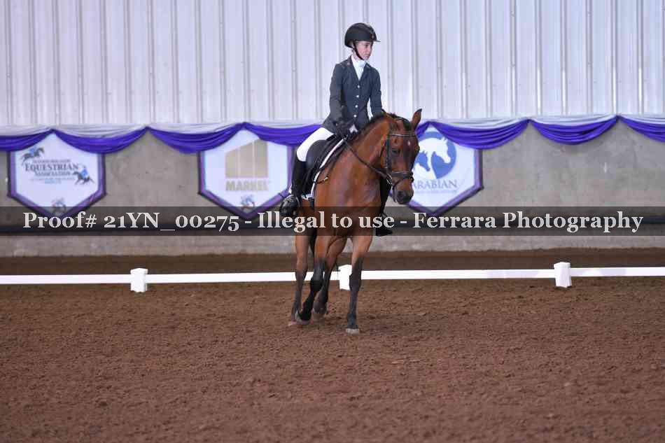 Proof Number 21YN_00275