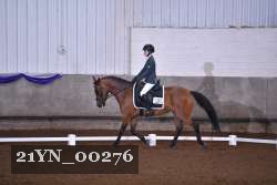 21YN_00276 thumbnail