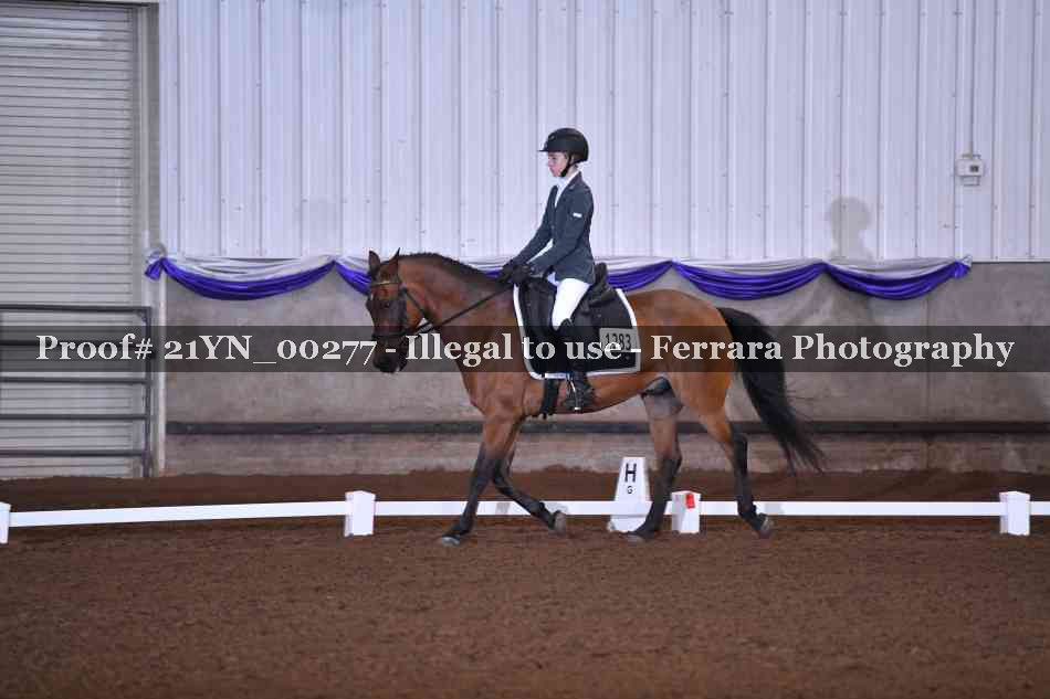Proof Number 21YN_00277