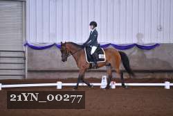 21YN_00277 thumbnail