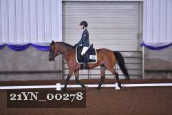 21YN_00278 thumbnail
