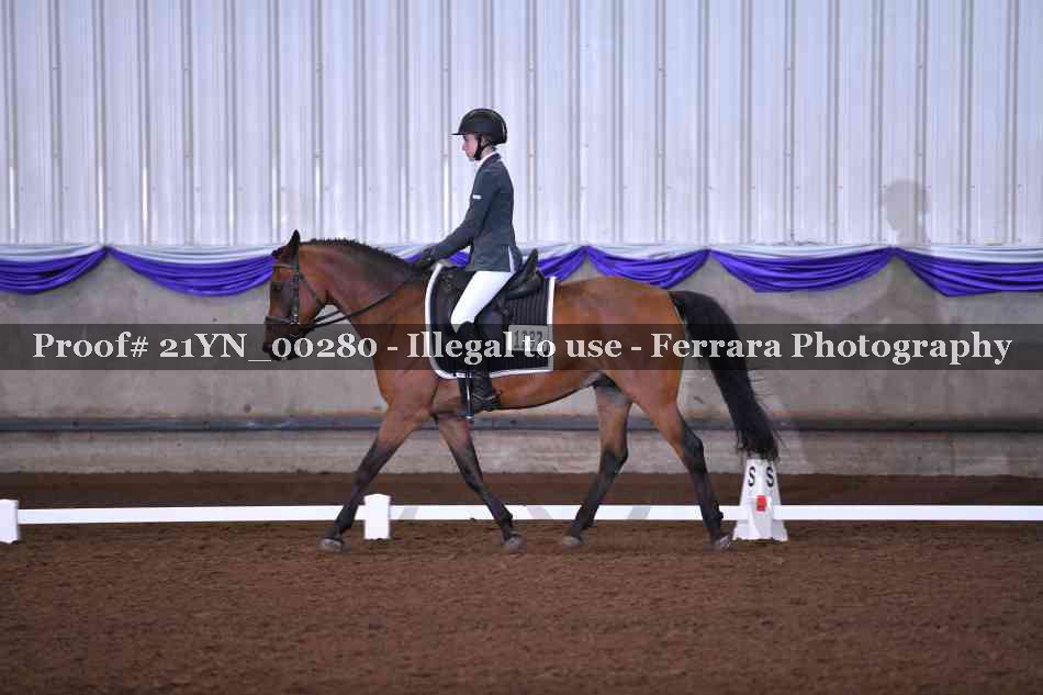Proof Number 21YN_00280