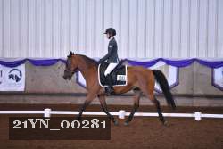 21YN_00281 thumbnail