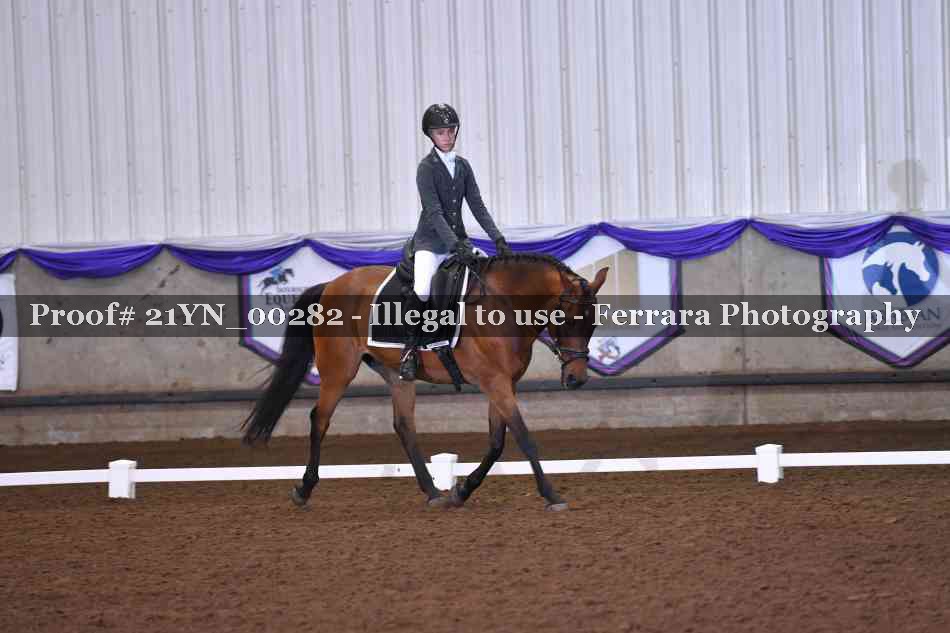 Proof Number 21YN_00282